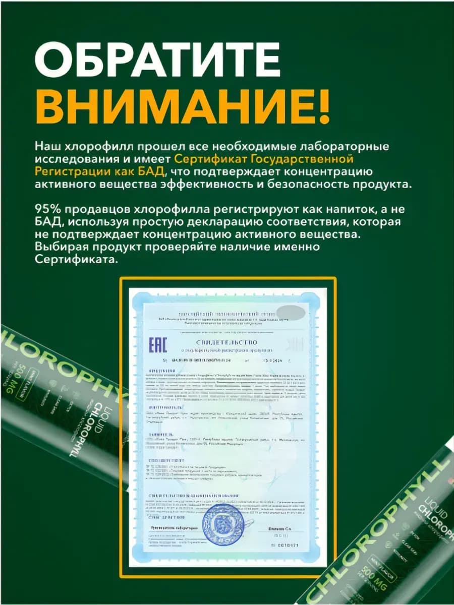Набор Контроль веса и детокс, Хлорофилл + Протеин 2 вкуса