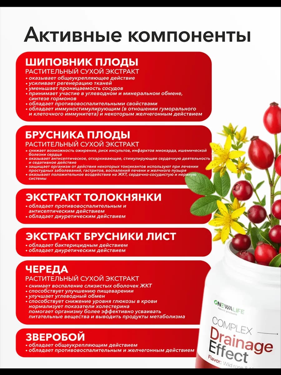 Дренажный напиток от отеков для похудения с шиповником